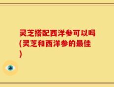 灵芝搭配西洋参可以吗(灵芝和西洋参的最佳)