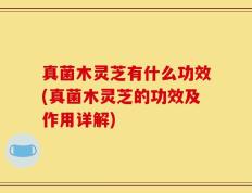 真菌木灵芝有什么功效(真菌木灵芝的功效及作用详解)