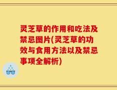 灵芝草的作用和吃法及禁忌图片(灵芝草的功效与食用方法以及禁忌事项全解析)