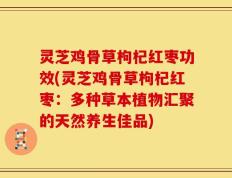 灵芝鸡骨草枸杞红枣功效(灵芝鸡骨草枸杞红枣：多种草本植物汇聚的天然养生佳品)