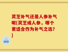 灵芝补气还是人参补气呢(灵芝或人参，哪个更适合作为补气之选？)