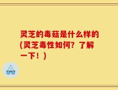 灵芝的毒菇是什么样的(灵芝毒性如何？了解一下！)