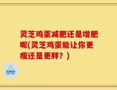灵芝鸡蛋减肥还是增肥呢(灵芝鸡蛋能让你更瘦还是更胖？)