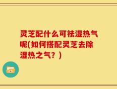 灵芝配什么可祛湿热气呢(如何搭配灵芝去除湿热之气？)