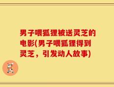 男子喂狐狸被送灵芝的电影(男子喂狐狸得到灵芝，引发动人故事)