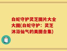 白蛇守护灵芝图片大全大图(白蛇守护：灵芝沐浴仙气的美图合集)