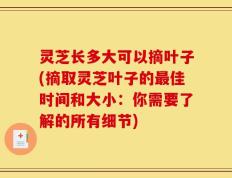 灵芝长多大可以摘叶子(摘取灵芝叶子的最佳时间和大小：你需要了解的所有细节)