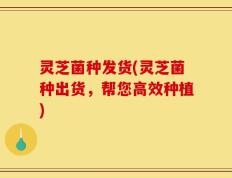 灵芝菌种发货(灵芝菌种出货，帮您高效种植)