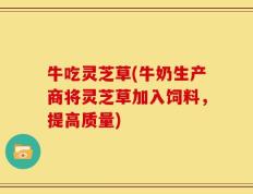 牛吃灵芝草(牛奶生产商将灵芝草加入饲料，提高质量)