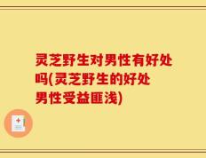 灵芝野生对男性有好处吗(灵芝野生的好处 男性受益匪浅)