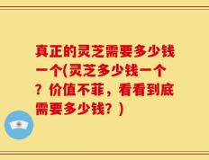 真正的灵芝需要多少钱一个(灵芝多少钱一个？价值不菲，看看到底需要多少钱？)