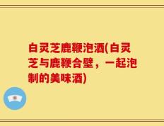 白灵芝鹿鞭泡酒(白灵芝与鹿鞭合壁，一起泡制的美味酒)