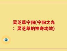 灵芝草宁阳(宁阳之光：灵芝草的神奇功效)