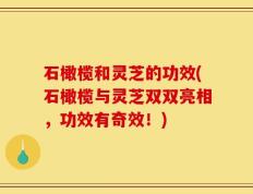 石橄榄和灵芝的功效(石橄榄与灵芝双双亮相，功效有奇效！)