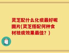 灵芝配什么化痰最好呢图片(灵芝搭配何种食材祛痰效果最佳？)