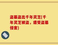 盗墓盗出千年灵芝(千年灵芝被盗，遭受盗墓侵害)