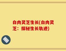 白肉灵芝生长(白肉灵芝：探秘生长轨迹)
