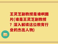 王灵芝副教授是谁啊图片(谁是王灵芝副教授？深入解读这位教育行业的杰出人物)