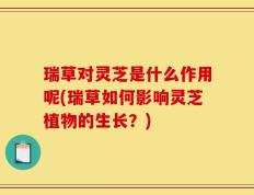 瑞草对灵芝是什么作用呢(瑞草如何影响灵芝植物的生长？)