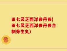 田七灵芝西洋参丹参(田七灵芝西洋参丹参合制养生丸)