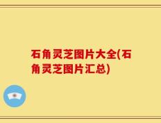 石角灵芝图片大全(石角灵芝图片汇总)