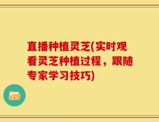 直播种植灵芝(实时观看灵芝种植过程，跟随专家学习技巧)