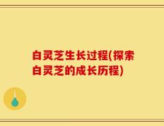 白灵芝生长过程(探索白灵芝的成长历程)