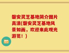 磐安灵芝基地简介图片高清(磐安灵芝基地风景如画，欢迎来此观光游览！)