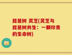 琵琶树 灵芝(灵芝与琵琶树共生：一颗珍贵的生命树)