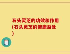 石头灵芝的功效和作用(石头灵芝的健康益处)