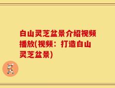 白山灵芝盆景介绍视频播放(视频：打造白山灵芝盆景)