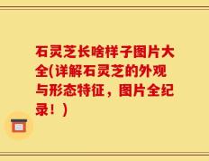 石灵芝长啥样子图片大全(详解石灵芝的外观与形态特征，图片全纪录！)