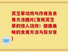灵芝草功效与作用及食用方法图片(发现灵芝草的惊人功效！健康美味的食用方法与你分享)