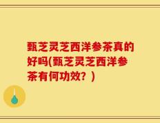 甄芝灵芝西洋参茶真的好吗(甄芝灵芝西洋参茶有何功效？)