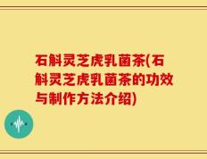 石斛灵芝虎乳菌茶(石斛灵芝虎乳菌茶的功效与制作方法介绍)
