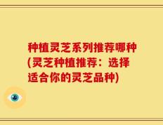 种植灵芝系列推荐哪种(灵芝种植推荐：选择适合你的灵芝品种)