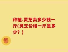 种植.灵芝卖多少钱一斤(灵芝价格一斤是多少？)