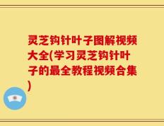 灵芝钩针叶子图解视频大全(学习灵芝钩针叶子的最全教程视频合集)