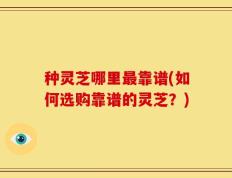 种灵芝哪里最靠谱(如何选购靠谱的灵芝？)