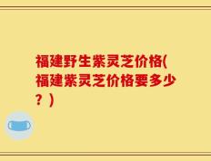 福建野生紫灵芝价格(福建紫灵芝价格要多少？)