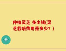 种植灵芝 多少钱(灵芝栽培费用是多少？)