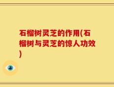 石榴树灵芝的作用(石榴树与灵芝的惊人功效)