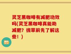 灵芝黑咖啡有减肥功效吗(灵芝黑咖啡真能助减肥？拔草前先了解这些！)