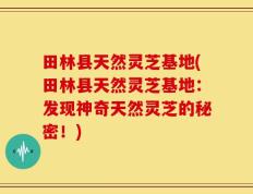 田林县天然灵芝基地(田林县天然灵芝基地：发现神奇天然灵芝的秘密！)