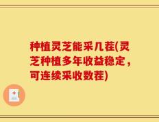 种植灵芝能采几茬(灵芝种植多年收益稳定，可连续采收数茬)