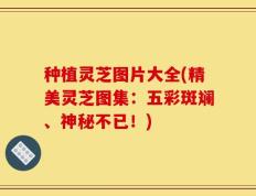 种植灵芝图片大全(精美灵芝图集：五彩斑斓、神秘不已！)