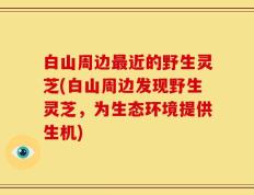 白山周边最近的野生灵芝(白山周边发现野生灵芝，为生态环境提供生机)