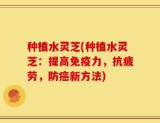 种植水灵芝(种植水灵芝：提高免疫力，抗疲劳，防癌新方法)