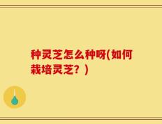 种灵芝怎么种呀(如何栽培灵芝？)