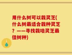 用什么树可以栽灵芝(什么树最适合栽种灵芝？——寻找栽培灵芝最佳树种)